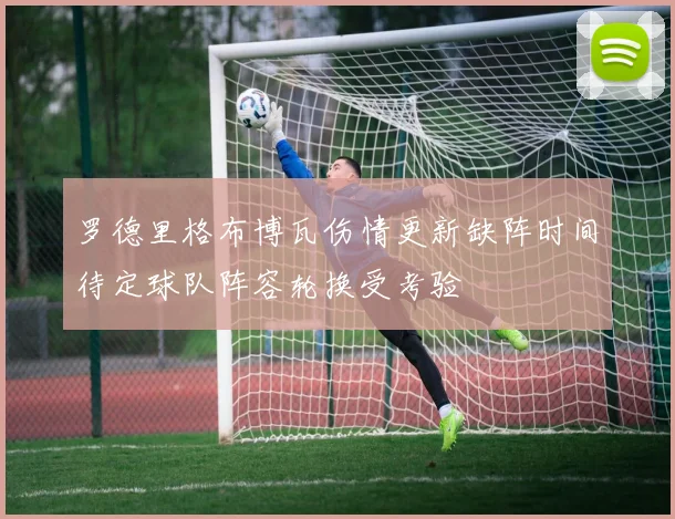 罗德里格布博瓦伤情更新缺阵时间待定球队阵容轮换受考验