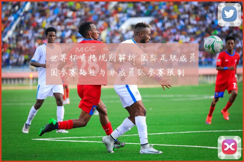 世界杯资格规则解析 国际足联成员国参赛路径与非成员队参赛限制