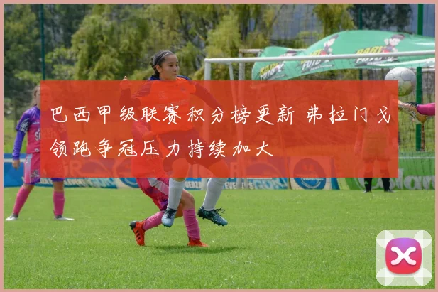 巴西甲级联赛积分榜更新 弗拉门戈领跑争冠压力持续加大