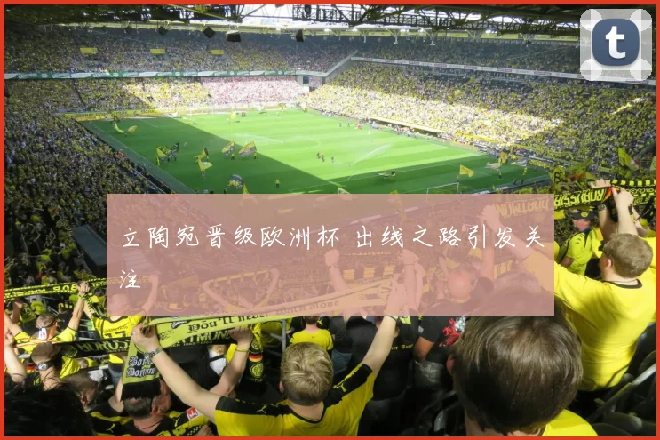 立陶宛晋级欧洲杯 出线之路引发关注