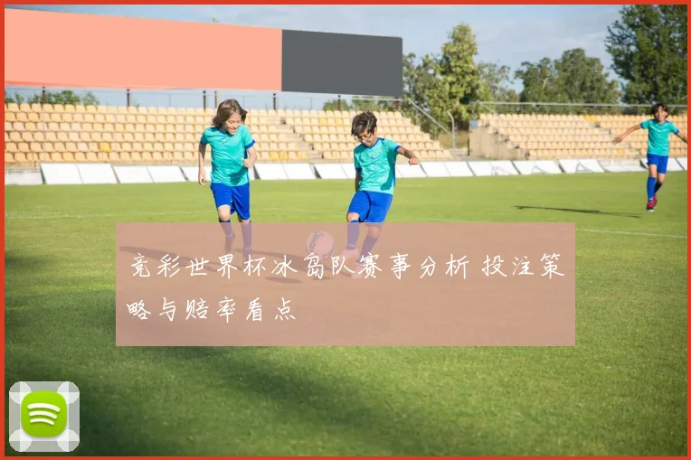 竞彩世界杯冰岛队赛事分析 投注策略与赔率看点
